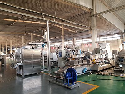 Doritos Corn Tortilla Chips Production Line