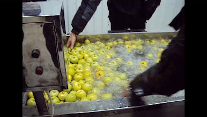 Vegetables & Fruits Washing Machine