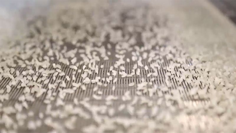 Instant Rice Production Line