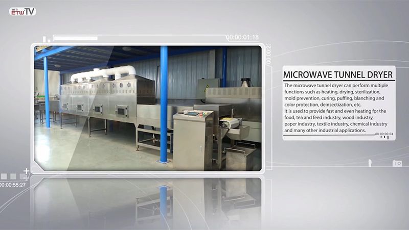 Industrial Microwave Tunnel Dryer