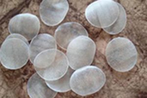 Extruded Pellet Machine